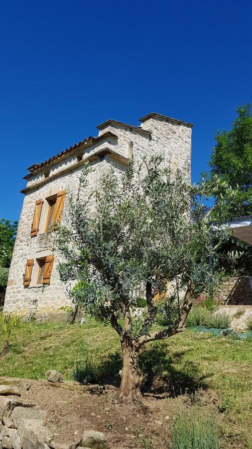 Le Pigeonnier De Felines Villa Caylus Екстериор снимка