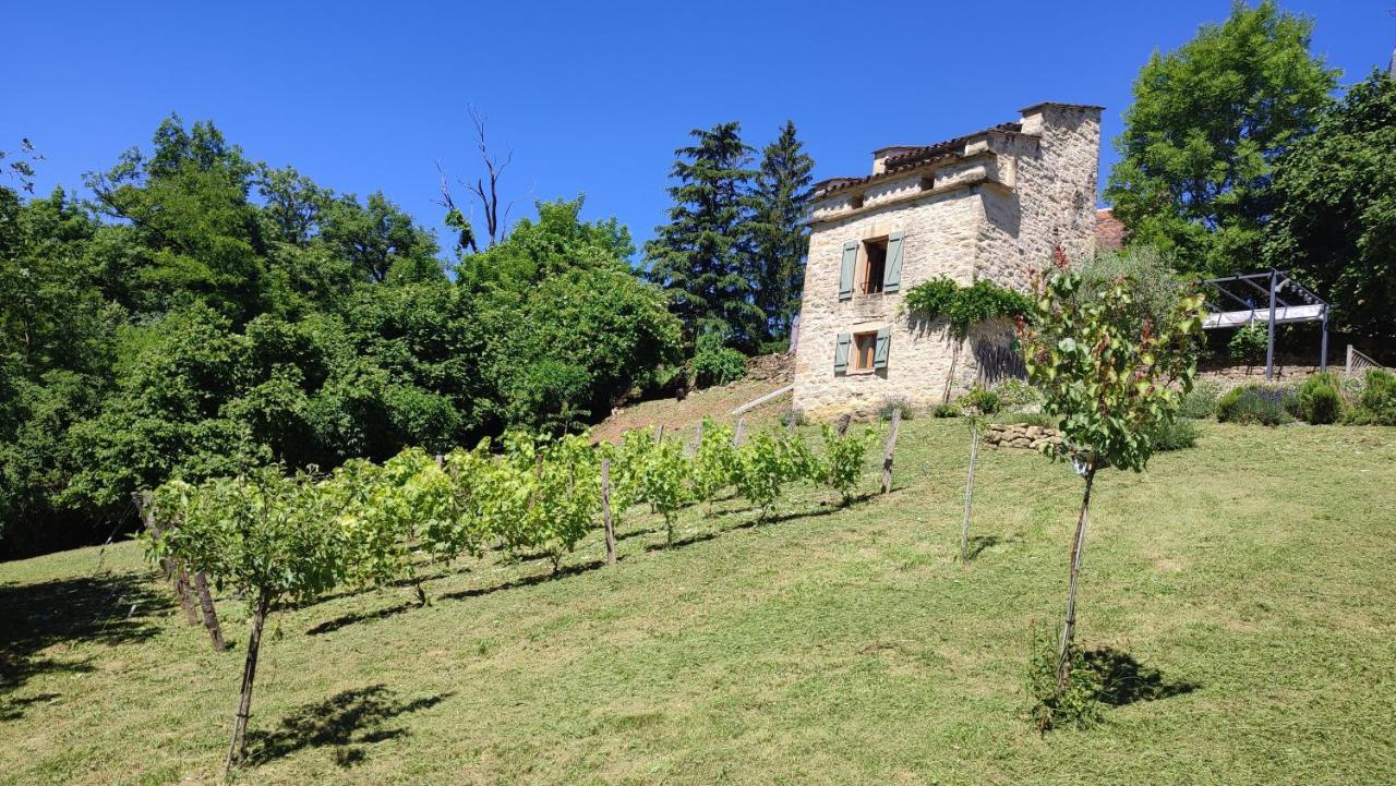 Le Pigeonnier De Felines Villa Caylus Екстериор снимка