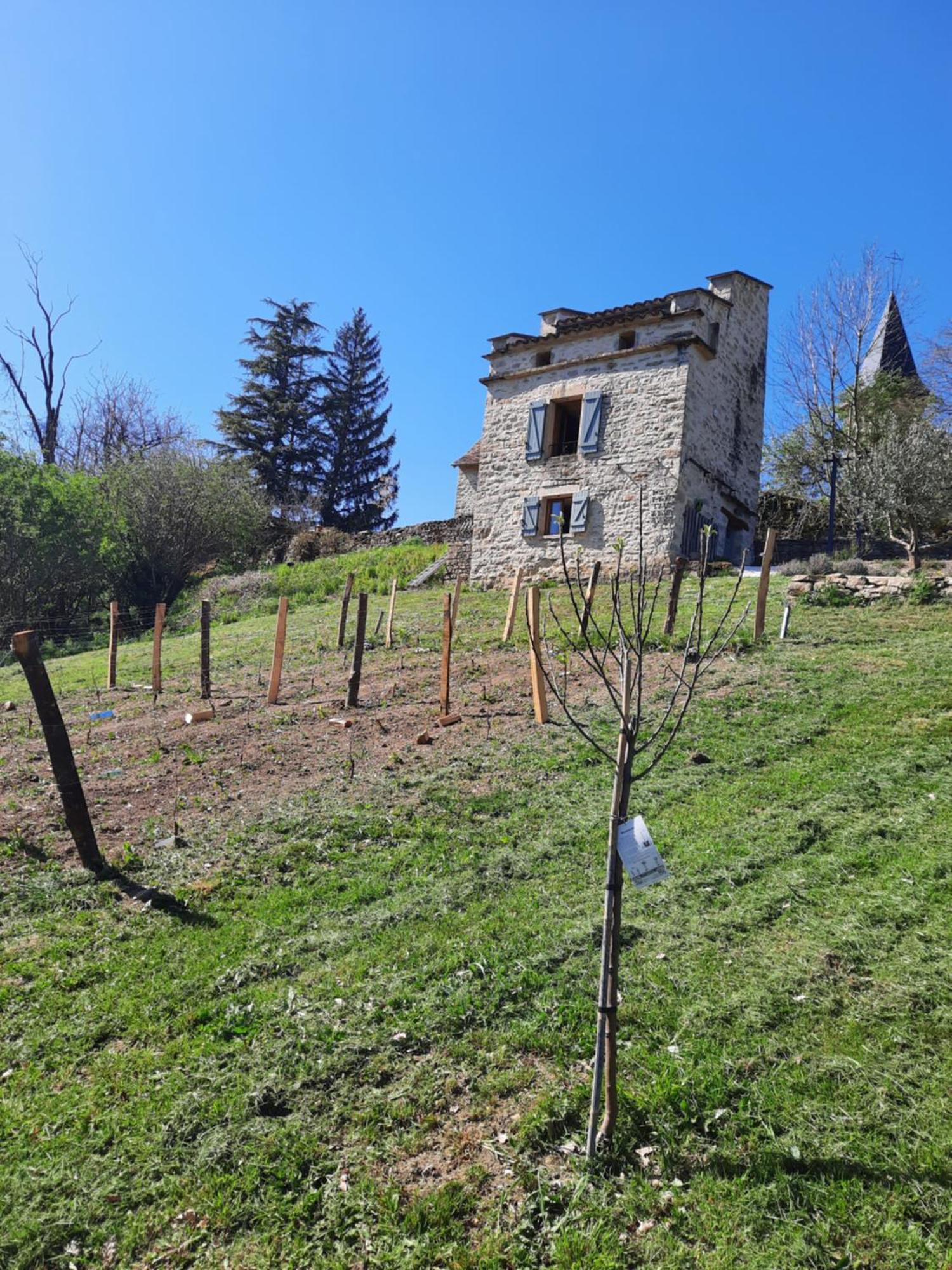 Le Pigeonnier De Felines Villa Caylus Стая снимка