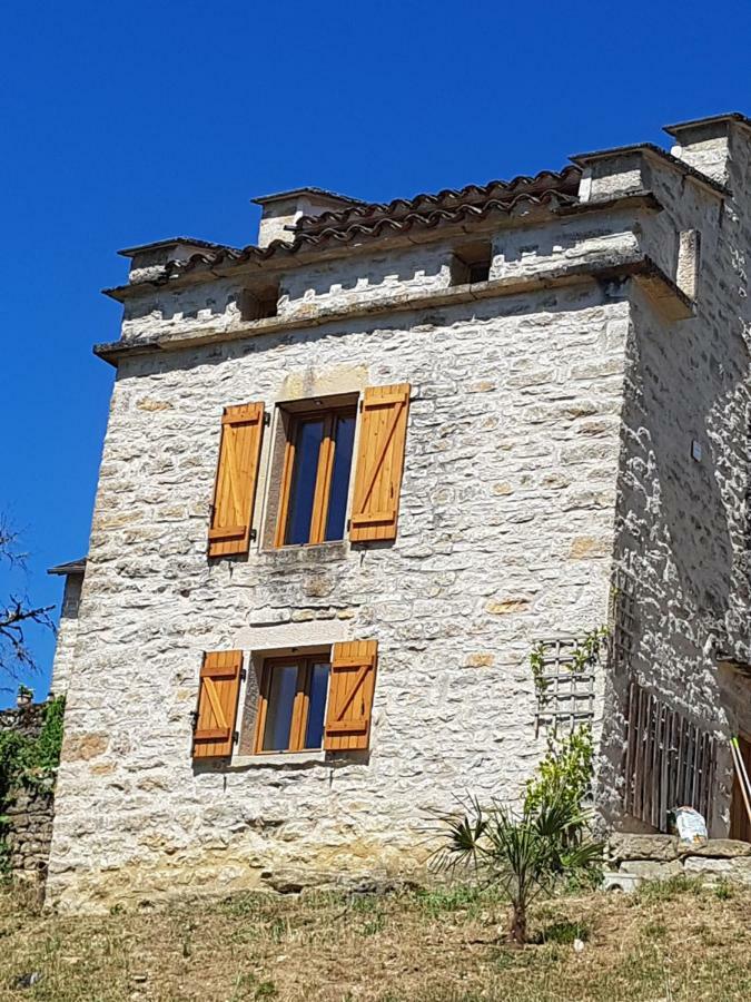 Le Pigeonnier De Felines Villa Caylus Екстериор снимка